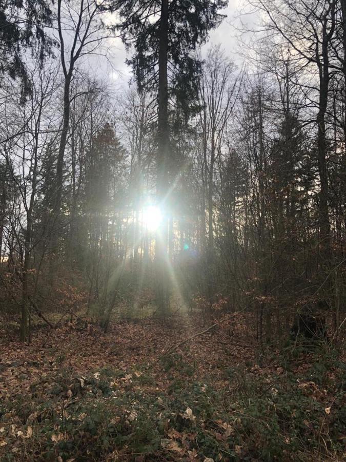Serways Hotel Spessart Rohrbrunn المظهر الخارجي الصورة